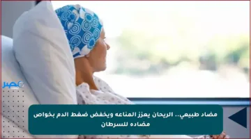 مضاد طبيعي.. الريحان يعزز المناعة ويخفض ضغط الدم بخواص مضادة للسرطان